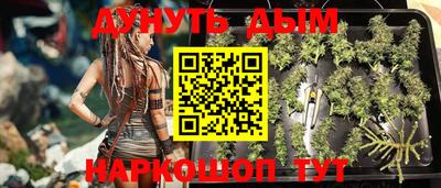 стафф Гулькевичи